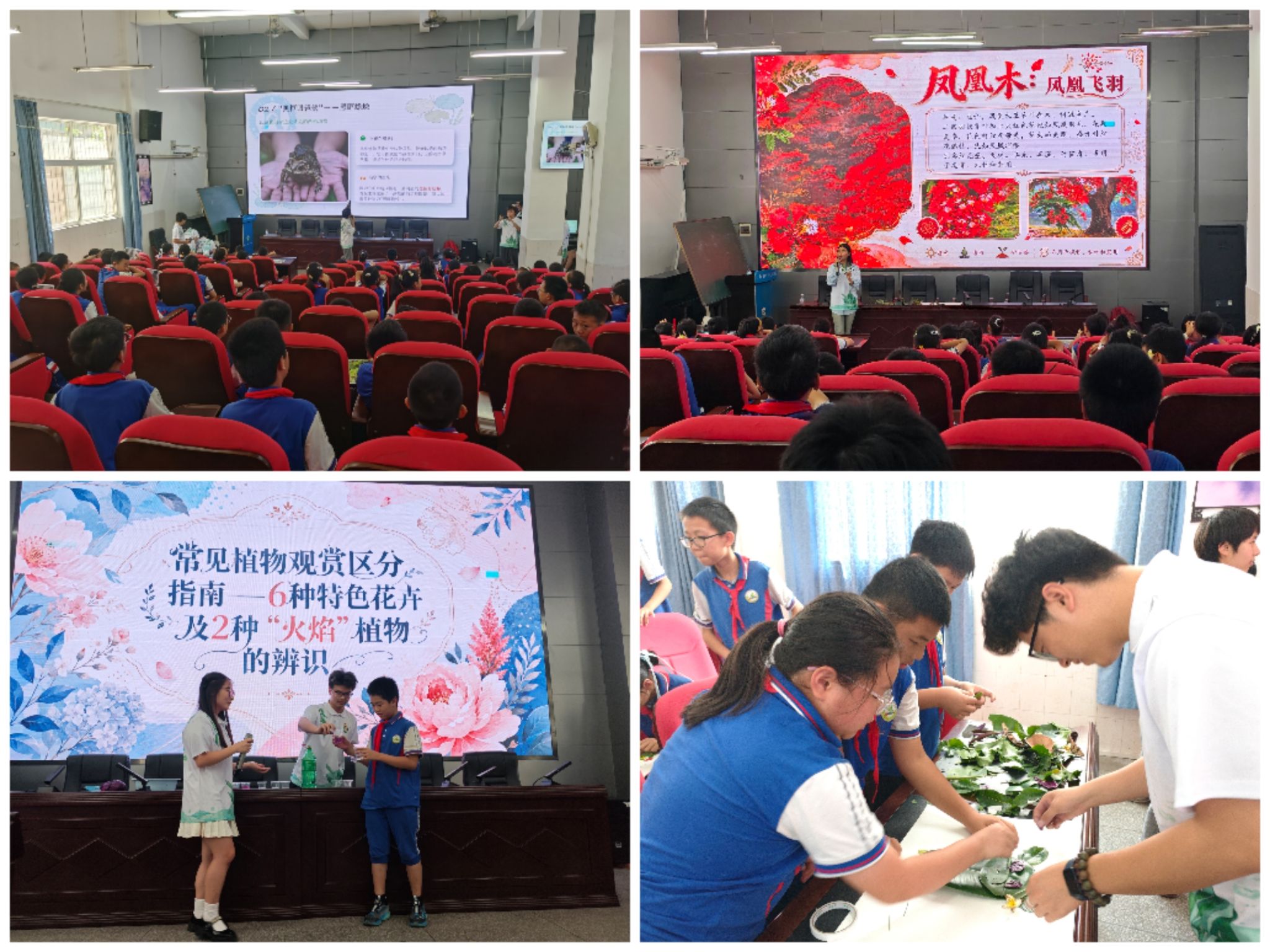 国产精品一区二区在线观看