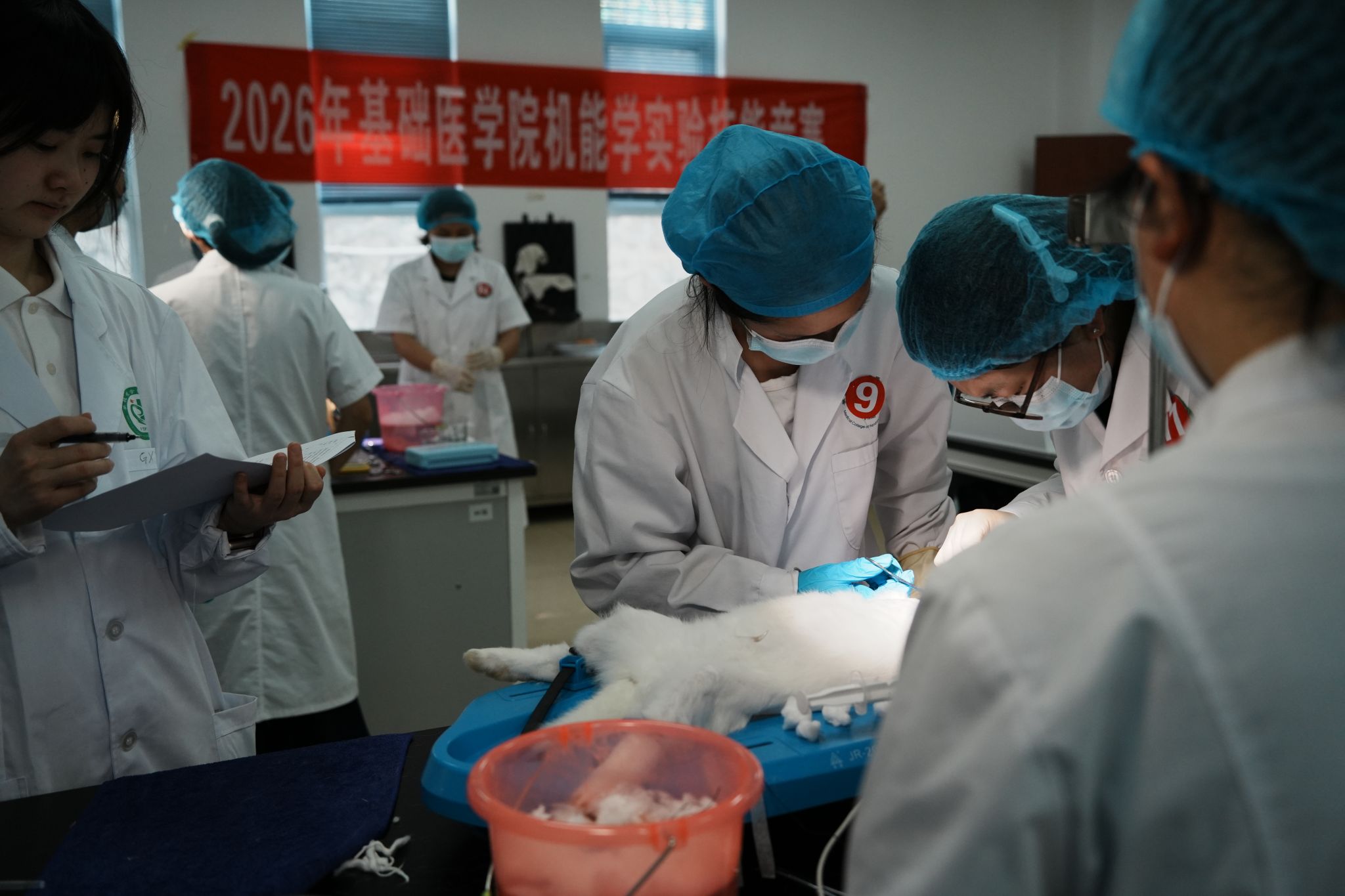 国产精品一区二区在线观看